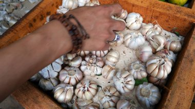 Geleneksel pazarlarda satılan taze sarımsak dokusu, en sağlıklı baharatlardan biri..