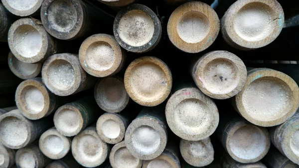 Bambusstäbe Mit Sichtbaren Enden Kreis Geschnitten — Stockfoto