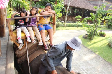 Bali Hayvanat Bahçesi 'nde fil süren bir grup çocuk, safariye gelen ziyaretçiler için fil gövdesi koltukları bir genç tarafından sürülen bali hayvanat bahçesi..