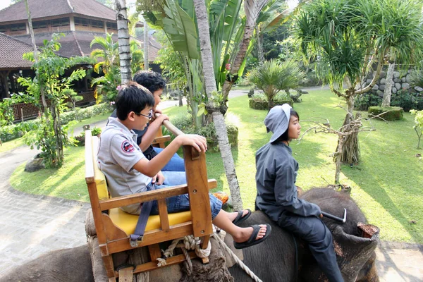 Tourist Group Children Riding Elephant Bali Zoo Elephant Body Seats — Stock Photo, Image
