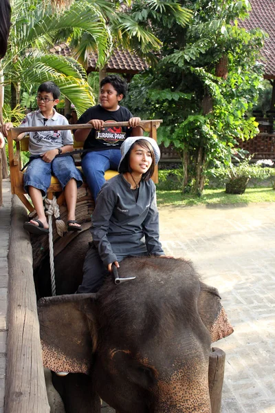 Gruppo Turistico Bambini Che Cavalcano Elefante Allo Zoo Bali Sedili — Foto Stock