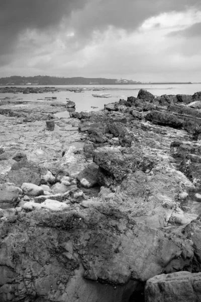 Uma Vista Grandes Rochas Maré Baixa Cobertas Com Algas Marinhas — Fotografia de Stock