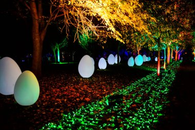 Enrique Tierno Galvan Parkı 'ndaki (Enrique Enrique Tierno Galvan) Nature Lit Up (Naturaleza Encendida) Noel ışık gösterisinde beyaz yumurta ve ışıklandırılmış ağaçlara bakış açısı 24 Kasım 2023 Madrid İspanya   