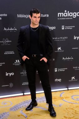Javier Achaga, 27. Malaga Festivali 'nin (27. Festival De Mlaga) 15 Şubat 2024' te Madrid Kraliyet Tiyatrosu 'nda düzenlenen kırmızı halı fotoğraf çekimi sırasında medyaya poz verdi.  
