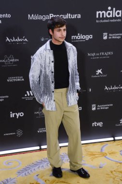  27. Malaga Festivali 'nin 27. De Mlaga Festivali' nde 15 Şubat 2024 'te İspanya Kraliyet Tiyatrosu' nda düzenlenen kırmızı halı fotoğraf çekimi sırasında medyaya poz verdi.  