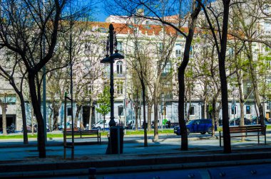 Paseo Castellana 'nın ön planında siluet ağaçları olan ve karbondioksiti absorbe edebilen Kiri Paulownia ağaçları, arka plandaki ışık ve binalar, Madrid İspanya