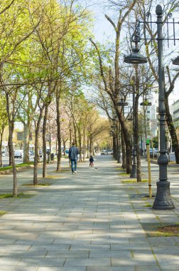 Bir baba-oğul dikey bir bakış açısı Catellana 'nın orta yolu ağaçlarda yeşil yapraklarla, Madrid İspanya.