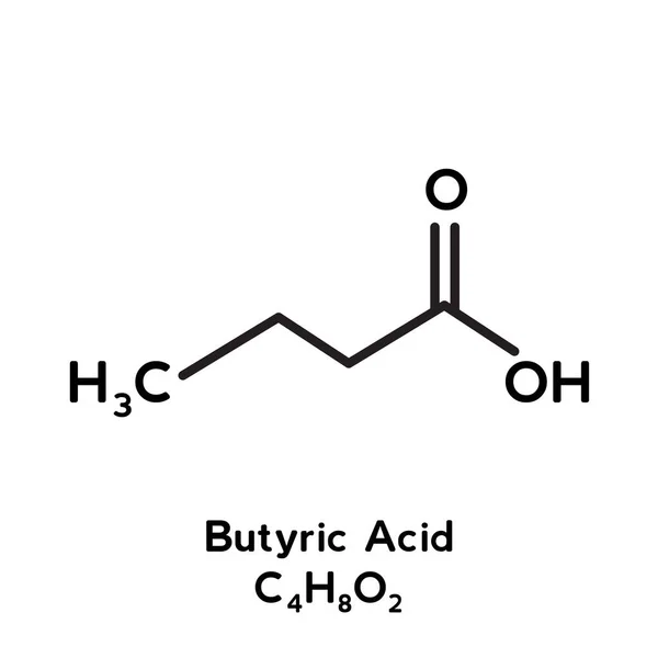 Structure Des Molécules Acide Butyrique Vecteur — Image vectorielle