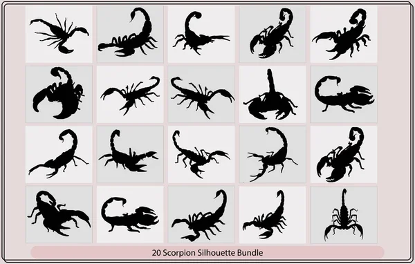 Scorpion Illustration Large Scorpion Silhouette Scorpion Logo Vector Vector Image — 스톡 벡터