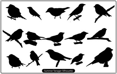 Summer Tanager silueti, İzole edilmiş Bir Yaz Tanager Warbler Kuşunun Doğa Vektör Görüntüsü Kesilmiş ve izole edilmiş