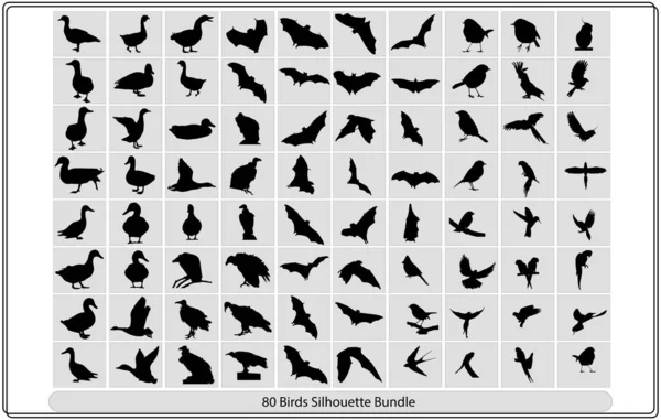 白い背景に空飛ぶ鳥のシルエット ベクトル図 異なる鳥のシルエットの位置のコレクションベクトル鳥シルエットのコレクション — ストックベクタ