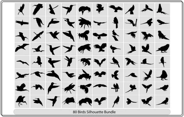 白い背景に空飛ぶ鳥のシルエット ベクトル図 異なる鳥のシルエットの位置のコレクションベクトル鳥シルエットのコレクション — ストックベクタ