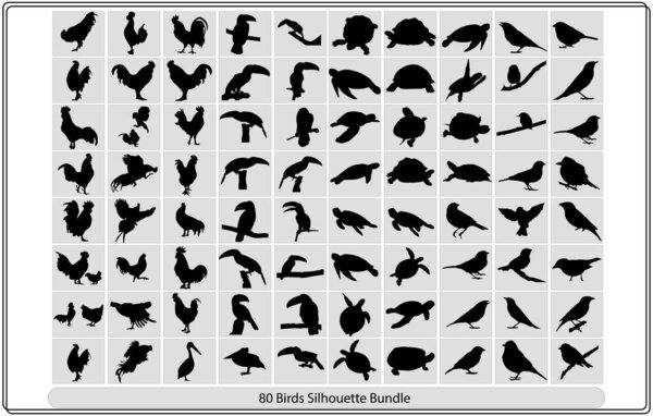 Flying birds silhouettes on white background. Vector illustration,Collection of different birds silhouettes position.Vector Collection of Bird Silhouettes