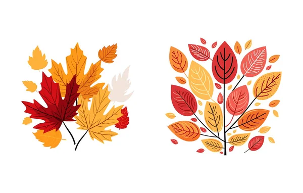 Olá Outono Folhas Outono Planas Folhas Coloridas Conjunto Isolado Elementos — Vetor de Stock
