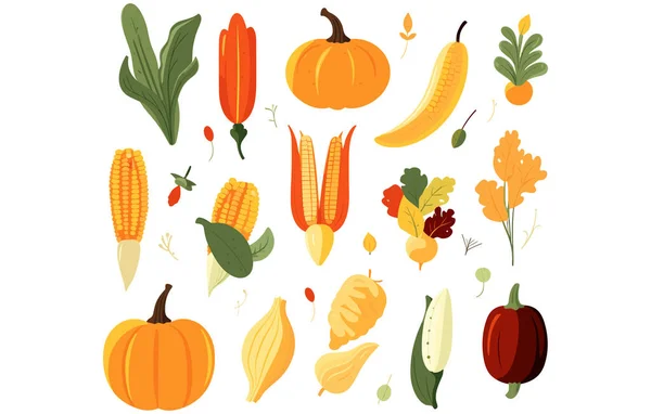 Flache Illustration Von Herbst Gemüse Herbst Gemüse Vektorsymbol Herbst Gemüse — Stockvektor