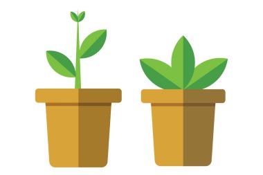 Çiçek saksılı iki bitki, çiftçilik için illüstratör vektörü, çevre dostu bahçe tasarımları..