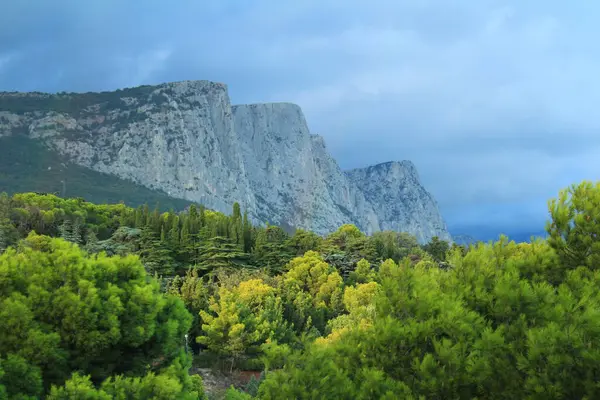 rainbow in the coniferous park against the background of the mountains after a summer rain with bloated clouds
