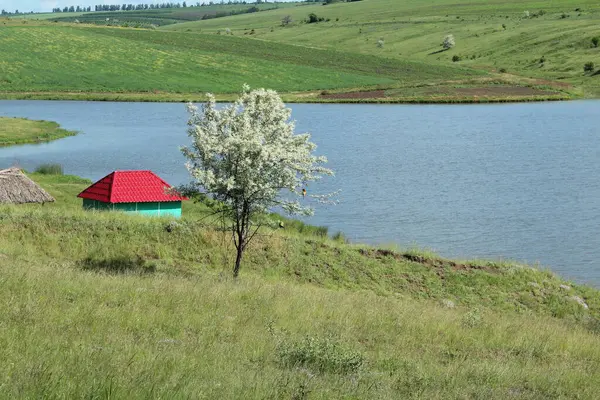 summer rest at the village pond
