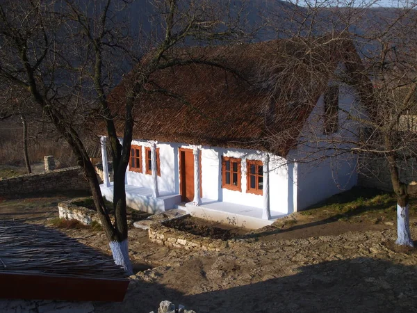 Sazlıklar ve akıntılarla kaplı eski kır evi.  