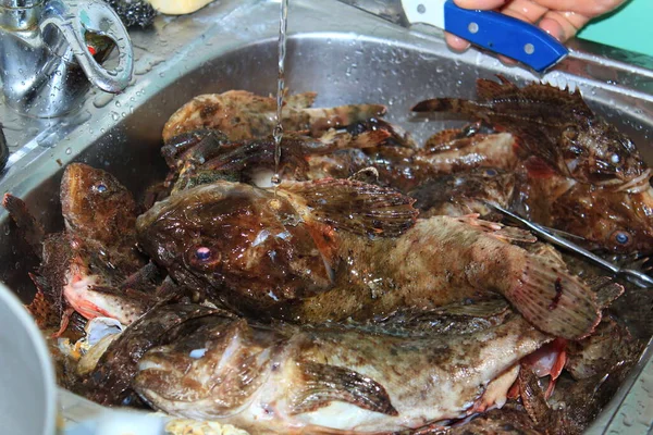 Zehirli balık akreplerinin menzili Karadeniz 'de.      