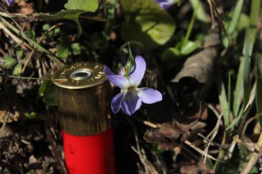Savaşın sonu, barışın başlangıcı.      