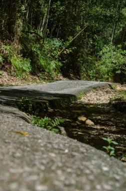 beautiful view of the forest, Pusing, Perak, Malaysia - February 17, 2023: Junction of Pusing Waterfalls.
