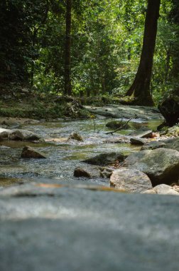 Pusing, Perak, Malaysia - February 17, 2023: Downstream of the Pusing Waterfalls.