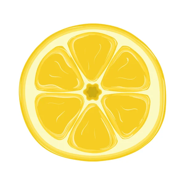 Slice Lemon Citrus Fruit Often Used Garnish Flavoring Food Drinks — Stock Vector