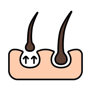 Saç çizgisi ikonu. Folikül, bukleler, saç kökü, büyüme, iğne, tedavi, kayıp, organ nakli, iyileşme, bahşiş bölümü, bakım, deri, sivilce, gözenekler. Sağlık, güzellik, terapi, tıbbi.