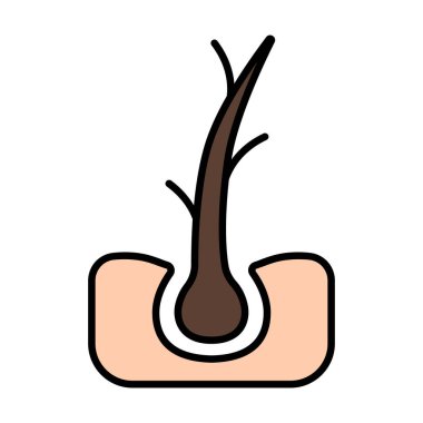 Saç çizgisi ikonu. Folikül, bukleler, saç kökü, büyüme, iğne, tedavi, kayıp, organ nakli, iyileşme, bahşiş bölümü, bakım, deri, sivilce, gözenekler. Sağlık, güzellik, terapi, tıbbi.