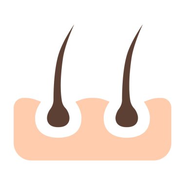 Saç çizgisi ikonu. Folikül, bukleler, saç kökü, büyüme, iğne, tedavi, kayıp, organ nakli, iyileşme, bahşiş bölümü, bakım, deri, sivilce, gözenekler. Sağlık, güzellik, terapi, tıbbi.