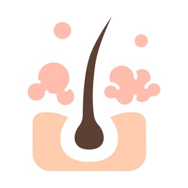 Saç çizgisi ikonu. Folikül, bukleler, saç kökü, büyüme, iğne, tedavi, kayıp, organ nakli, iyileşme, bahşiş bölümü, bakım, deri, sivilce, gözenekler. Sağlık, güzellik, terapi, tıbbi.