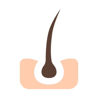 Saç çizgisi ikonu. Folikül, bukleler, saç kökü, büyüme, iğne, tedavi, kayıp, organ nakli, iyileşme, bahşiş bölümü, bakım, deri, sivilce, gözenekler. Sağlık, güzellik, terapi, tıbbi.