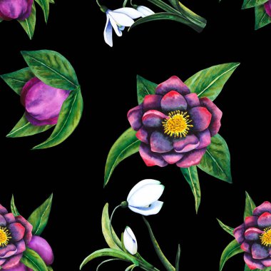 Hellebore siyahı, kar damlası. Karanlık bir arka planda suluboya elementlerin kusursuz deseni. El çizimi çiçekler, tomurcuklar ve yapraklar. Davetiyeler, tekstil ve kağıt ürünleri için suluboya botanik çalışmaları.