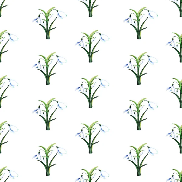 Μπουκέτο Σταγόνες Χιονιού Ανθισμένο Μπουμπούκι Φύλλα Υδατογραφία Χωρίς Ραφή Μοτίβο — Φωτογραφία Αρχείου