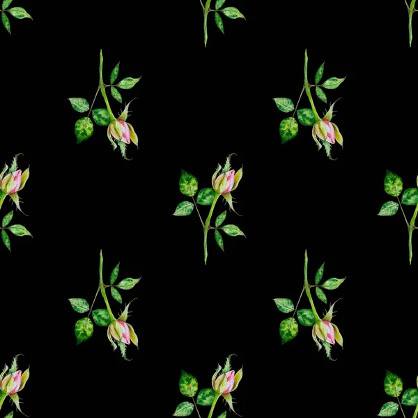 Μπους Τριαντάφυλλα Ανθισμένο Μπουμπούκι Φύλλα Υδατογραφία Αδιάλειπτη Μοτίβο Σκούρο Φόντο — Φωτογραφία Αρχείου