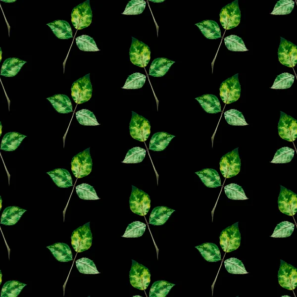 Φύλλα Τριαντάφυλλου Υδατογραφία Αδιάλειπτη Μοτίβο Σκούρο Φόντο Μπορεί Χρησιμοποιηθεί Για — Φωτογραφία Αρχείου