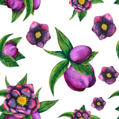 Hellebore siyahı. Suluboya elementlerinin kusursuz deseni. El çizimi çiçekler, tomurcuklar ve yapraklar. Kartlar, davetiyeler, tekstil ve kağıt ürünleri için suluboya botanik çalışmaları.
