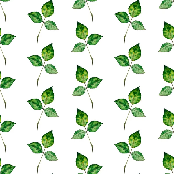 Φύλλα Τριαντάφυλλου Υδατογραφία Χωρίς Ραφή Μοτίβο Μπορεί Χρησιμοποιηθεί Για Σχεδιασμό — Φωτογραφία Αρχείου
