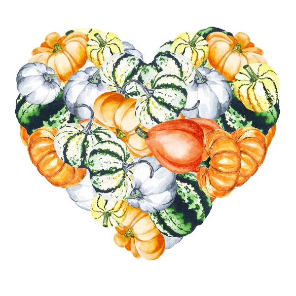 Dynie Kształcie Serduszka Akwarelowa Ilustracja Jasnych Dyń Ilustracja Warzywami Dla — Zdjęcie stockowe
