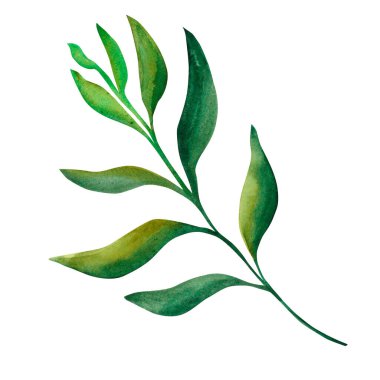 Soyut yaprak. Beyaz arka planda efsanevi bir yaprak. Tasarımın için elementler.