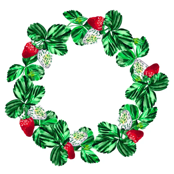 Victorias Basket Watercolor Wreath Botanical Illustration Strawberry Isolated White Background — Stock Photo, Image