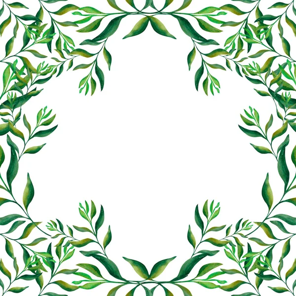 Αφηρημένα Φύλλα Πλαίσιο Από Όμορφα Πράσινα Κλαδιά Λευκό Φόντο Για — Φωτογραφία Αρχείου