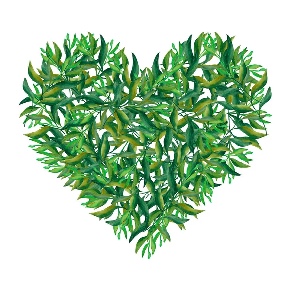 Αφηρημένα Φύλλα Ένας Κύκλος Όμορφων Πράσινων Κλαδιών Διπλωμένος Μια Καρδιά — Φωτογραφία Αρχείου