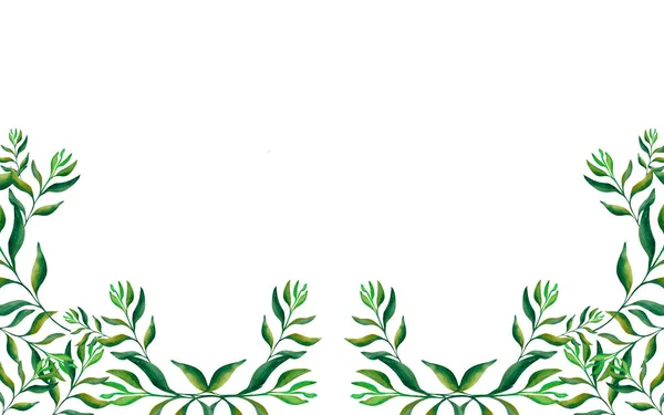Folhas Abstratas Banner Belos Ramos Verdes Fundo Branco Banner Para — Fotografia de Stock