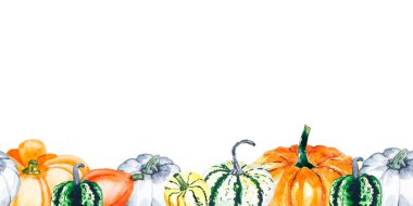 Balkabağı. Parlak balkabaklarının suluboya çizimi. Şeffaf sebzelerle kusursuz sınır.