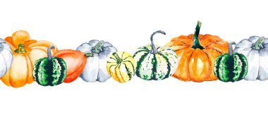 Balkabağı. Parlak balkabaklarının suluboya çizimi. Şeffaf sebzelerle kusursuz sınır.