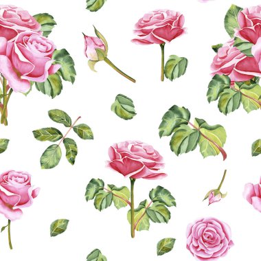 Botanik buketinin dikişsiz suluboya deseni. İzole arka planda çiçekler, yapraklar ve tomurcuklar. Bahçe pembe gülü. Gerçekçi illüstrasyon. El, botanik tarzında çizilmiş. Tasarımın için resim.