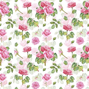 Botanik buketinin dikişsiz suluboya deseni. İzole arka planda çiçekler, yapraklar ve tomurcuklar. Bahçe pembe gülü. Gerçekçi illüstrasyon. El, botanik tarzında çizilmiş. Tasarımın için resim.