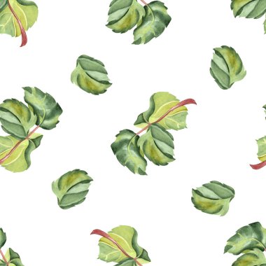 Suluboya gül yaprakları. Yeşil yaprakların kusursuz deseni. Çizim, izole bir arkaplanda elle suluboya tekniğiyle yapılır. Tasarımın için illüstrasyon.